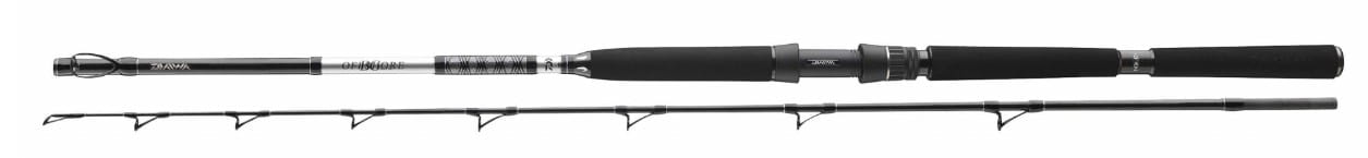 Daiwa BG Diepzee 220cm 30-40lbs Taktstock, Stock