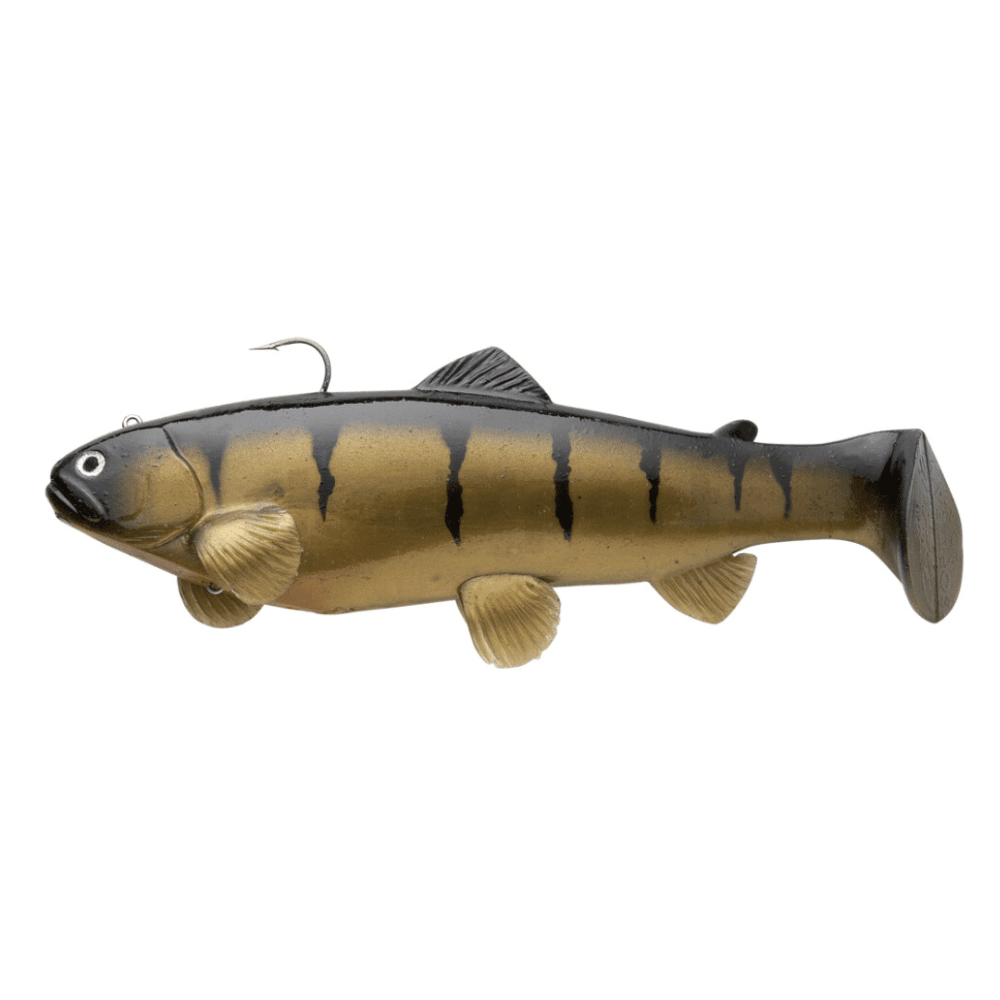 Castaic Swim Bait Trota 15cm affondante Yellow Perch Tier, Fische, Leben im Meer