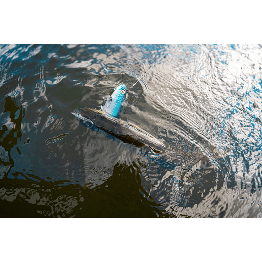 Person, Sport, Schwimmen, Wasser, Wassersport