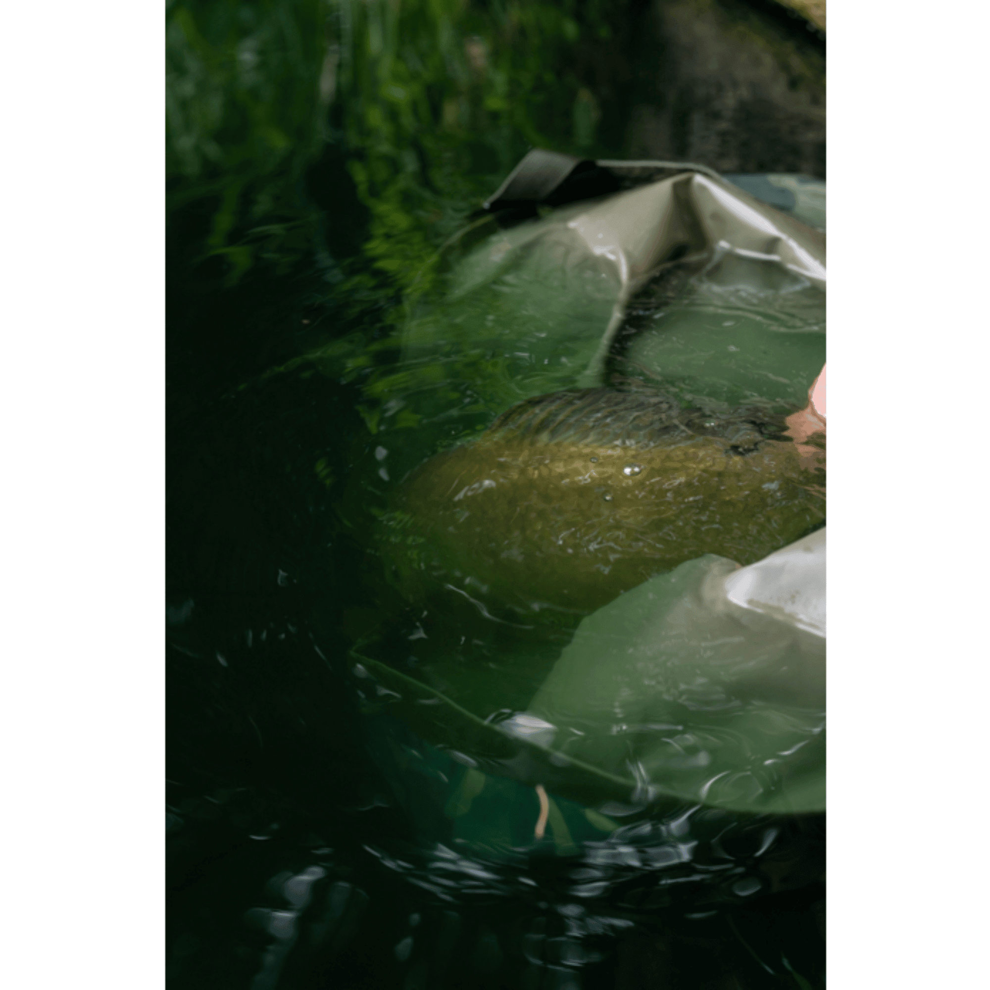 Schal, Kleidung, Grau, gefaltet, Stoff