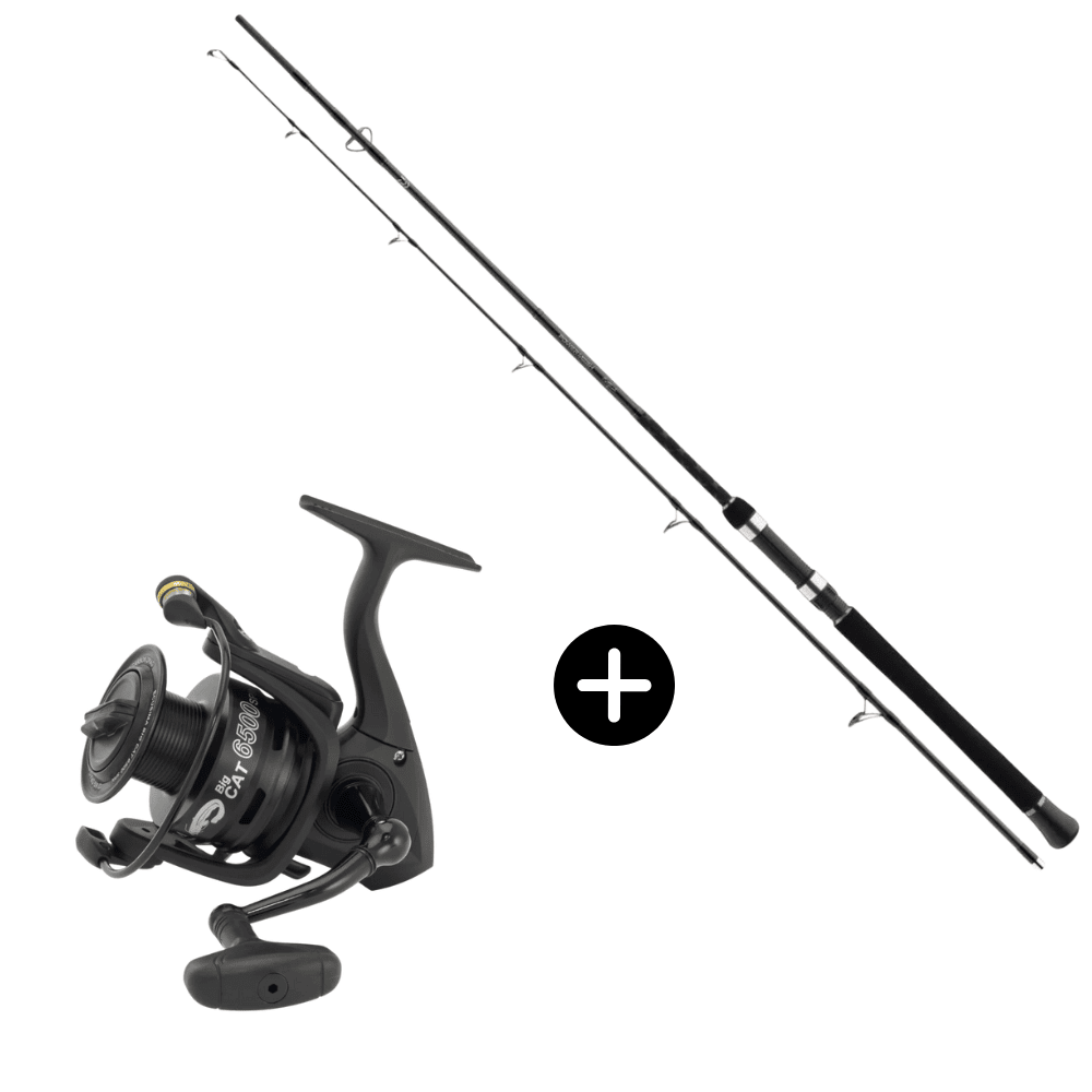 Wels Spinn Set Daiwa Powermesh Catfish Spin 215cm -190g + Ryobi Ecusima Big Cat 6500 Rolle, Fischen, Draußen, Wasser, Angler