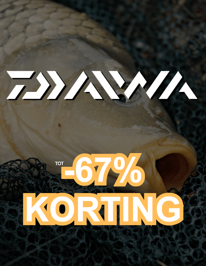 Tier, Karpfen, Fische, Leben im Meer