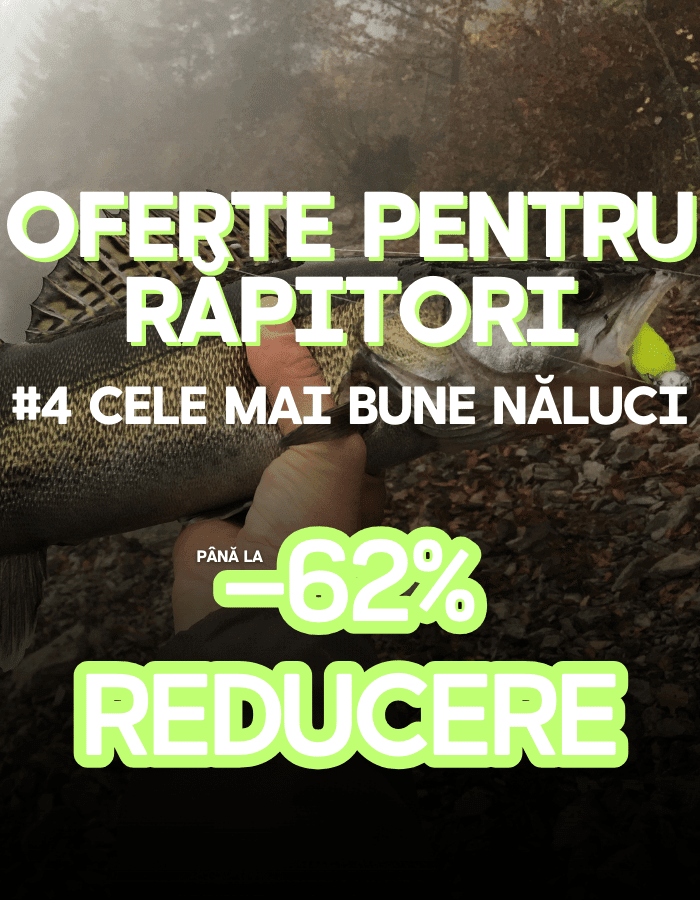 Tier, Leben im Meer, Fische