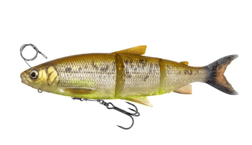 Gummifisch, Angelfisch, Köder, mehrteilig, Tail