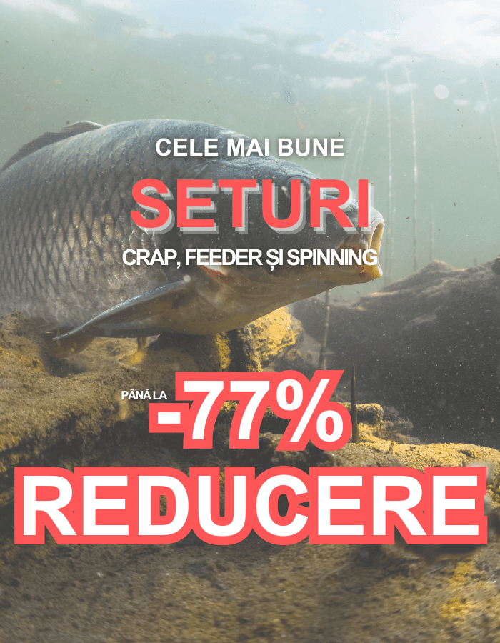 Tier, Leben im Meer, Karpfen, Fische