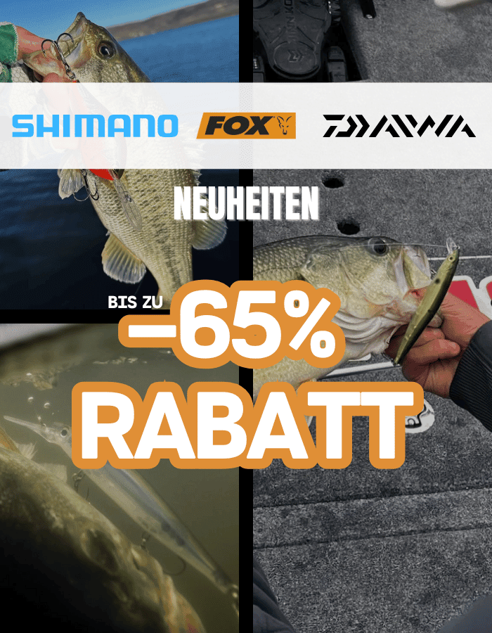 Tier, Leben im Meer, Fische