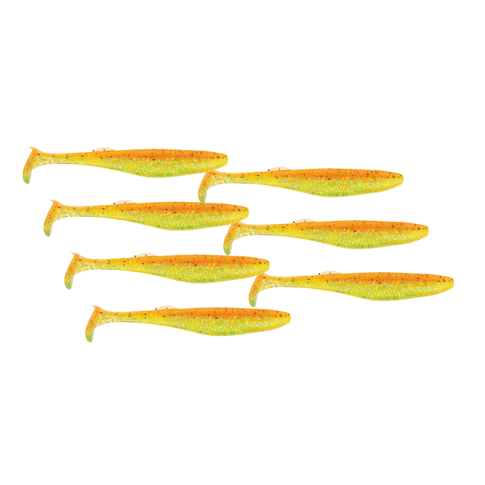 Tier, Fische, Hering, Leben im Meer, Sardine