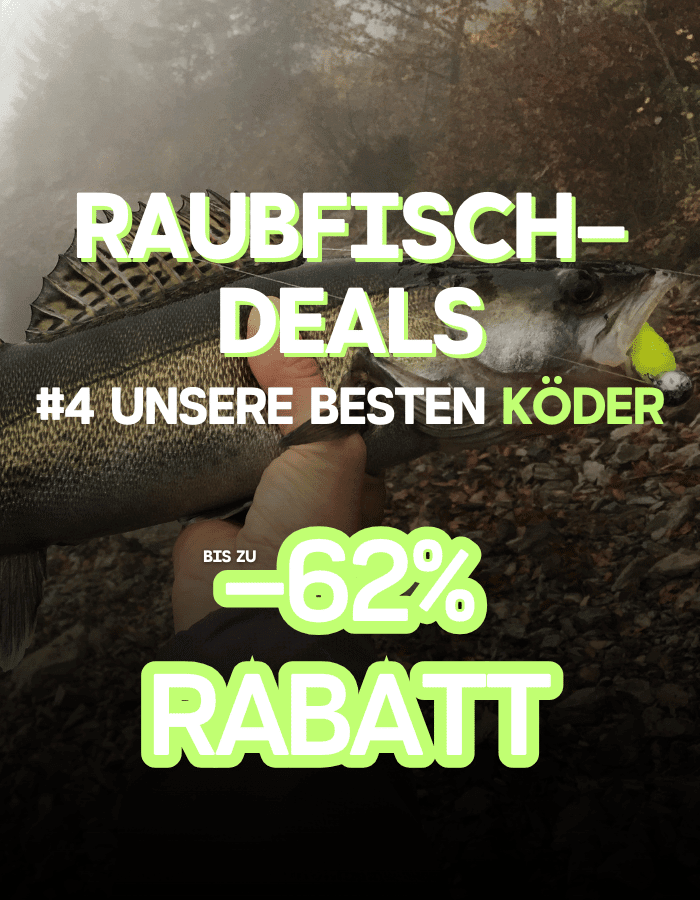 Tier, Leben im Meer, Fische