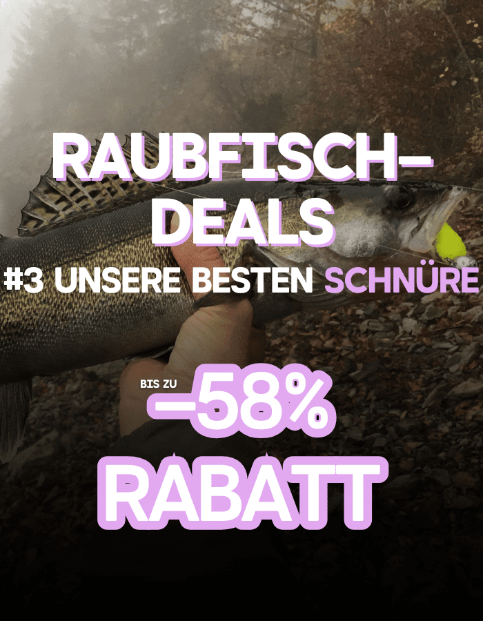 Tier, Leben im Meer, Fische