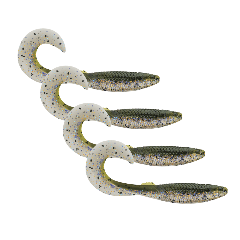 Tier, Leben im Meer, Fische, Hering