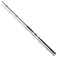 Daiwa Exceler Catfish Welsrute Daiwa Exceler Catfish Welsrute