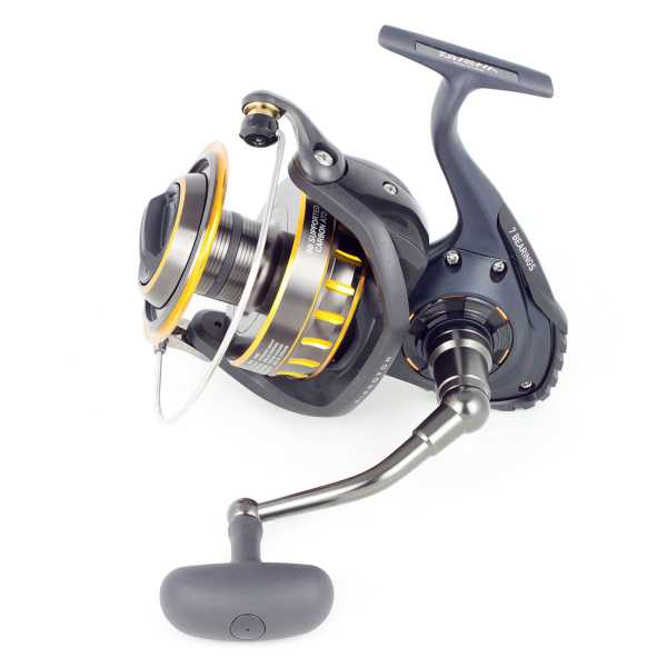 Daiwa BG 8000 SW | 10460-800